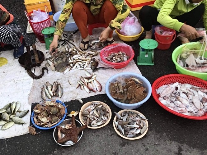 Ăn gì và chơi ở đâu nếu bạn chỉ có một ngày ở Nha Trang? - ảnh 3