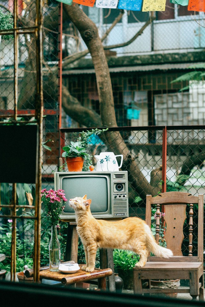 Hà Nội phố: Những quán cà phê độc đáo, chất lừ và yên tĩnh cực hợp để teen sống ảo đầu năm - ảnh 6