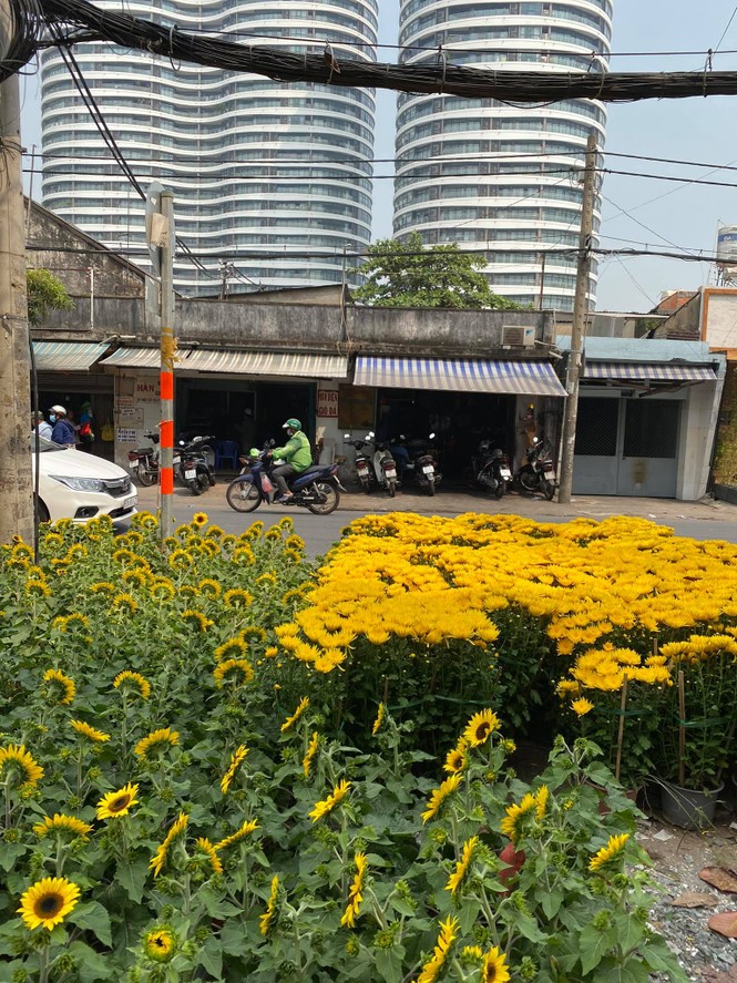 Sài Gòn mưa mát thật đấy, nhưng nước mắt thì mặn chát và xót xa - ảnh 2