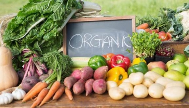 7 lựa chọn thực phẩm thông minh để giảm mỡ xấu và giữ dáng trọn đời - ảnh 1
