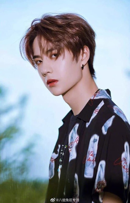 Vương Nhất Bác - ảnh 2