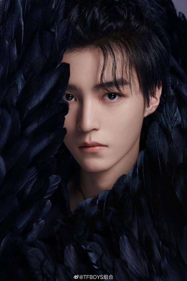 TFBOYS - ảnh 3