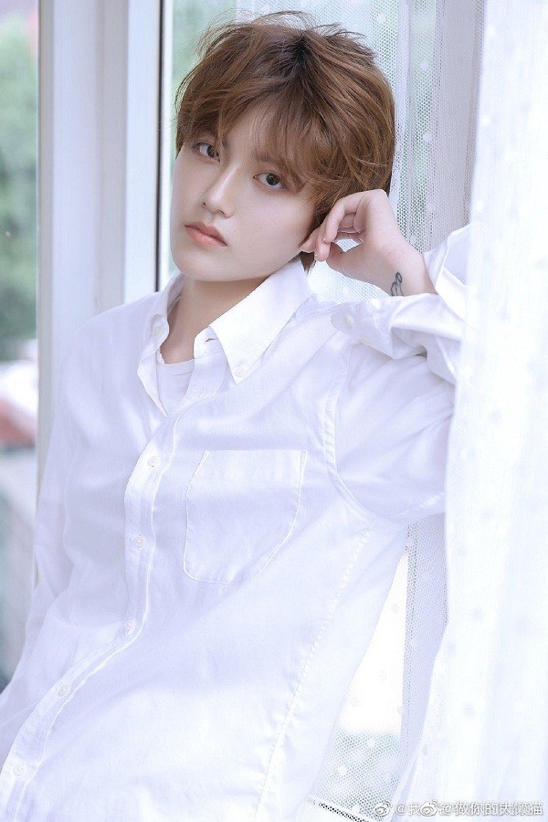 Trong thế giới fangirl: Diệp Vũ Hàm là một chiếc lá nhỏ, và là một người chị thương yêu - ảnh 1