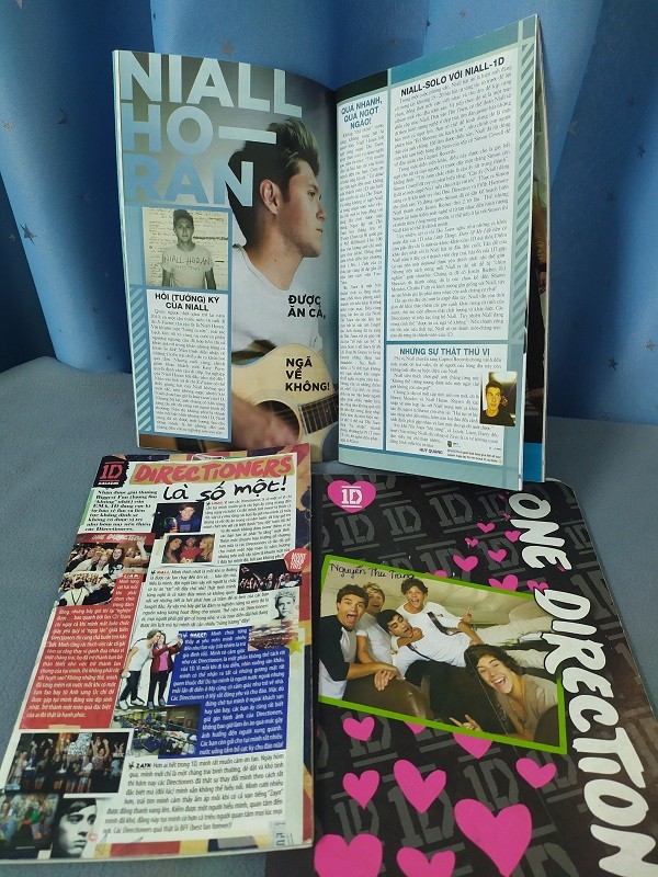 Trong thế giới fangirl: Nguyện mãi là “Phi hành gia” nhỏ bé trong hành tinh Directioners - ảnh 2