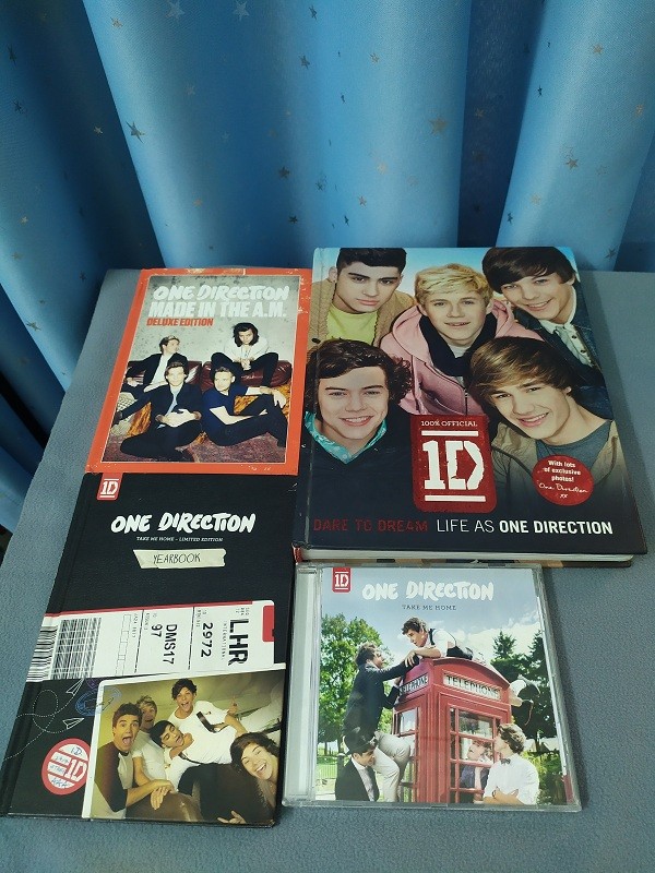 Trong thế giới fangirl: Nguyện mãi là “Phi hành gia” nhỏ bé trong hành tinh Directioners - ảnh 3