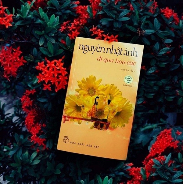 “Đi qua hoa cúc” Nguyễn Nhật Ánh: Có người đi qua cuộc đời ta, rồi ở lại trong ký ức - ảnh 1