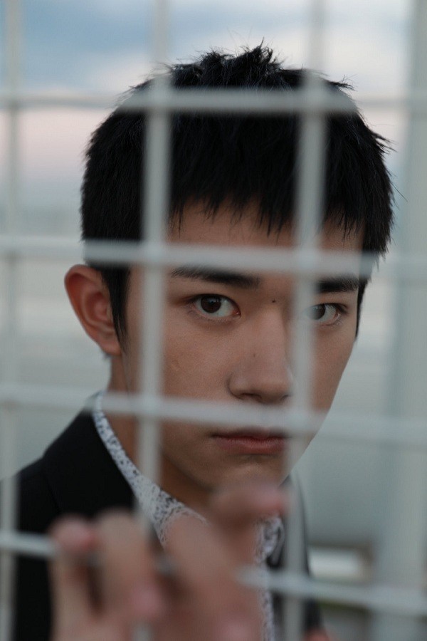Trong thế giới fangirl: TFBOYS là những vì tinh tú, tôi chỉ là cô bé ngắm sao trời - ảnh 3