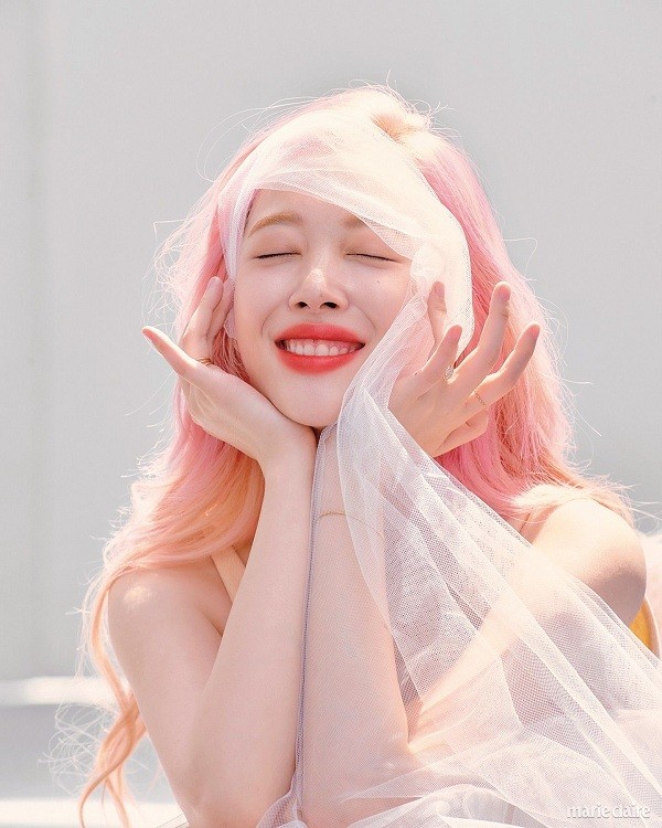 Một năm ngày không còn Sulli: Dù ở bất cứ đâu, mong bông hoa tuyết lê hạnh phúc - ảnh 2