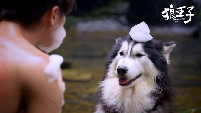 Khi các “hoàng thượng” đi đóng phim”: Lang Điện Hạ phải đặc biệt tìm diễn viên nhí - ảnh 11