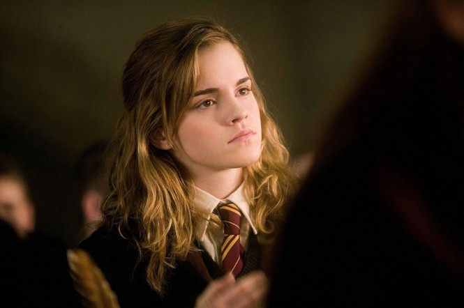 Bạn đọc sáng tác: Tôi là Muggle xuyên qua sân ga, tìm về ấu thơ đẹp như thế giới phù thủy - ảnh 1