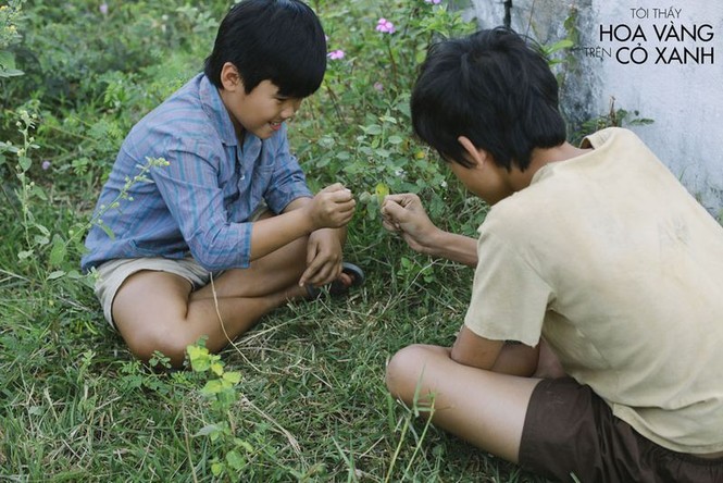 Bạn đọc sáng tác: Tôi cứu một chú chim sẻ nhỏ, xây đắp êm đềm kỷ niệm tuổi thơ - ảnh 2