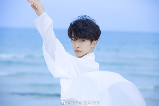 Lưu Vũ của