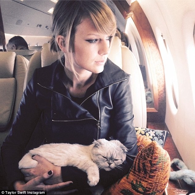 Ed Sheeran 'mai mối' Orlando Bloom và Taylor Swift? - ảnh 7