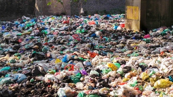 Bãi rác ngập dưới chân cầu Thăng Long là từ đâu? - ảnh 2