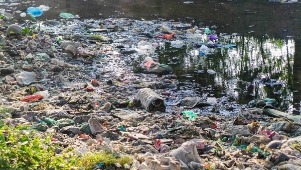 Bãi rác ngập dưới chân cầu Thăng Long là từ đâu? - ảnh 5