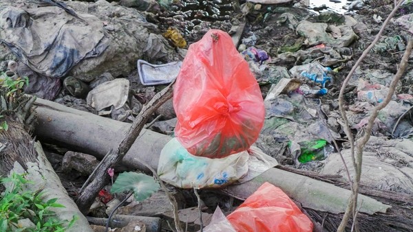 Bãi rác ngập dưới chân cầu Thăng Long là từ đâu? - ảnh 6