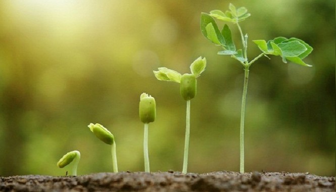 Có cách nào để em có thể ra quyết định sáng suốt trong mọi vấn đề không? - ảnh 1