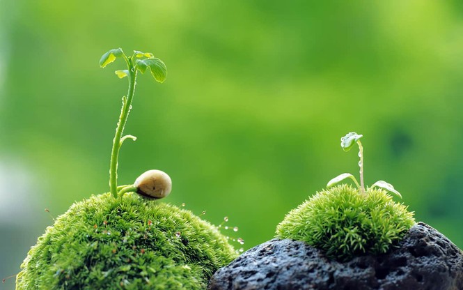 Đối mặt với nỗi buồn