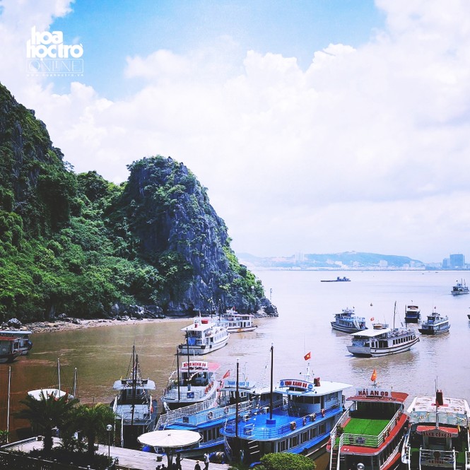 Lên đường mùa Hè: Mở khóa kỳ nghỉ với những tia nắng ở Hạ Long! - ảnh 2