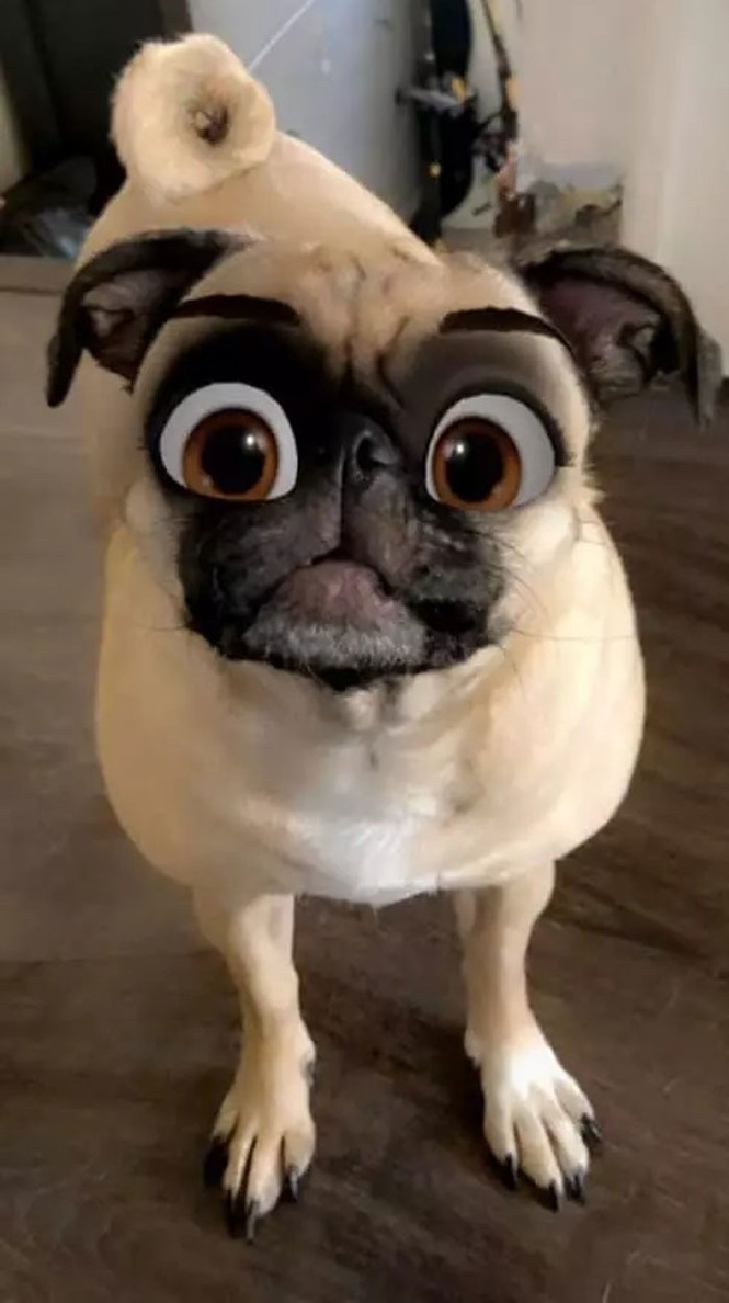 Snapchat ứng dụng mới đây lại dấy lên một làn sóng mới với một bản cập nhật phiên bản hoạt hình vô cùng thú vị - ảnh 3