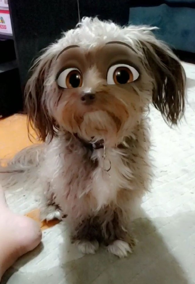 Snapchat ứng dụng mới đây lại dấy lên một làn sóng mới với một bản cập nhật phiên bản hoạt hình vô cùng thú vị - ảnh 4