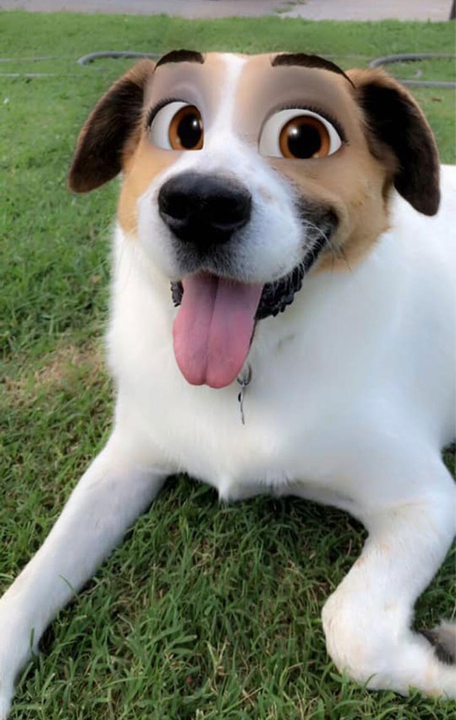 Snapchat ứng dụng mới đây lại dấy lên một làn sóng mới với một bản cập nhật phiên bản hoạt hình vô cùng thú vị - ảnh 9