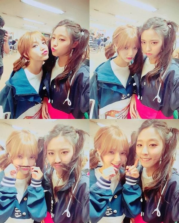 Sau Jimin, đây là thành viên tiếp theo của AOA bị fan K-Pop muốn rời khỏi nhóm - ảnh 8