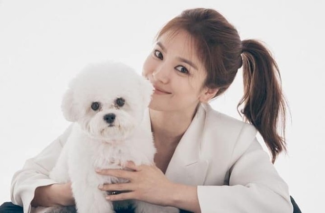 Loạt ảnh này có gì lạ mà giúp Song Hye Kyo được khen “hơn hẳn Kim Tae Hee, Son Ye Jin”? - ảnh 6