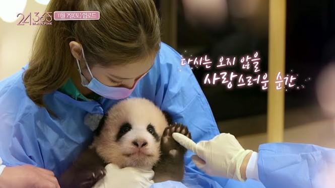 Những điều từng giúp BLACKPINK tỏa sáng ở Trung Quốc nay lại thành cớ để netizen chỉ trích - ảnh 2