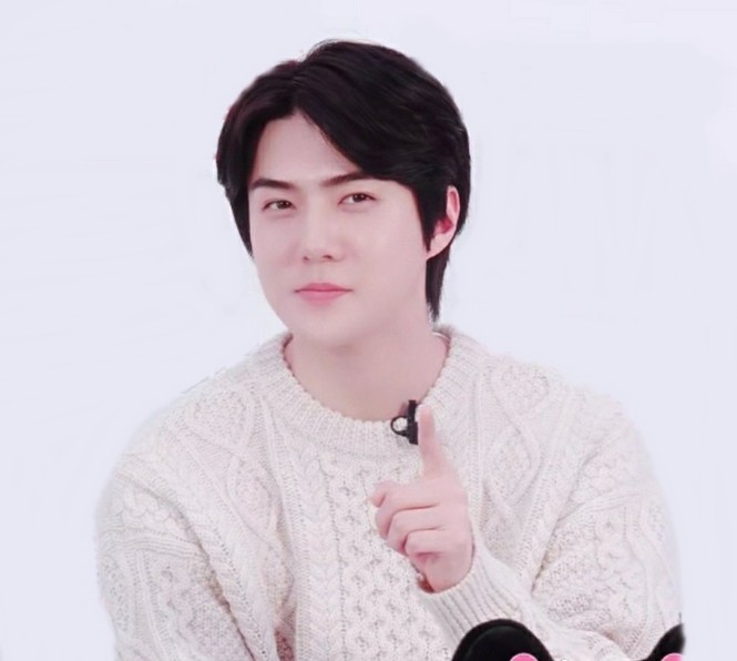 Đi tìm sự thật phía sau màn nuôi tóc dài hóa bà thím cuae Sehun (EXO) và Lee Jong Suk - ảnh 4