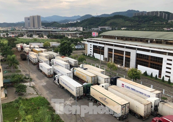 Vì sao hàng trăm xe thanh long Việt Nam ùn ứ ở cửa khẩu? - ảnh 1