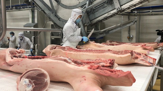 Bộ Nông nghiệp báo cáo khẩn Thủ tướng tình hình thịt lợn - ảnh 1