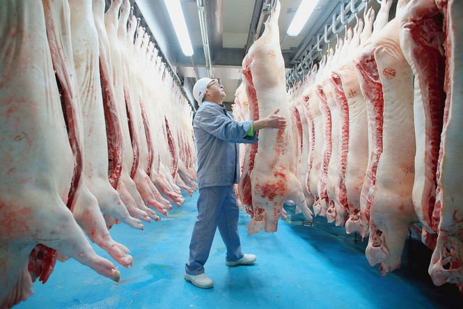 Chiến lược chăn nuôi đến năm 2030: Duy trì đàn lợn 29-30 triệu con - ảnh 1