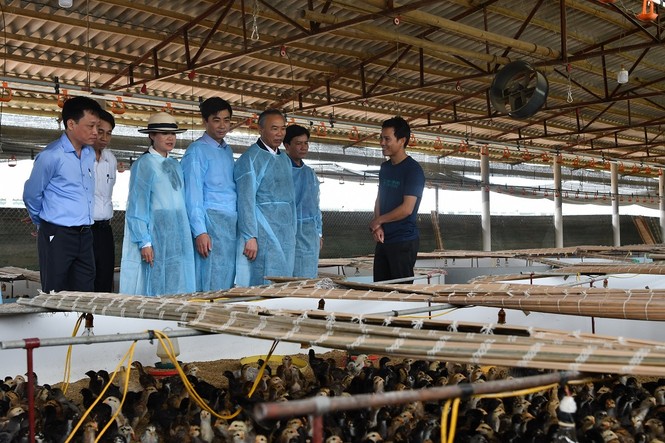 Doanh nghiệp là 'hạt nhân' trong quá trình tái đàn - ảnh 1