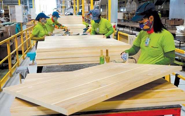 Năm 2020, xuất khẩu nông lâm thủy sản hướng đến mục tiêu 43 tỷ USD - ảnh 2