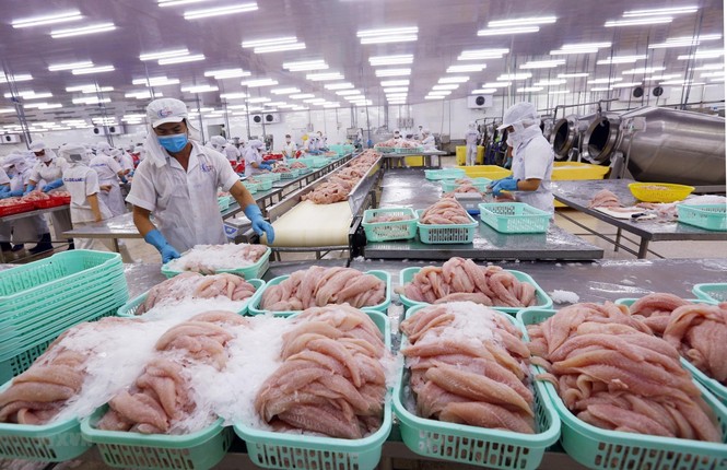 Năm 2020, xuất khẩu nông lâm thủy sản hướng đến mục tiêu 43 tỷ USD - ảnh 1