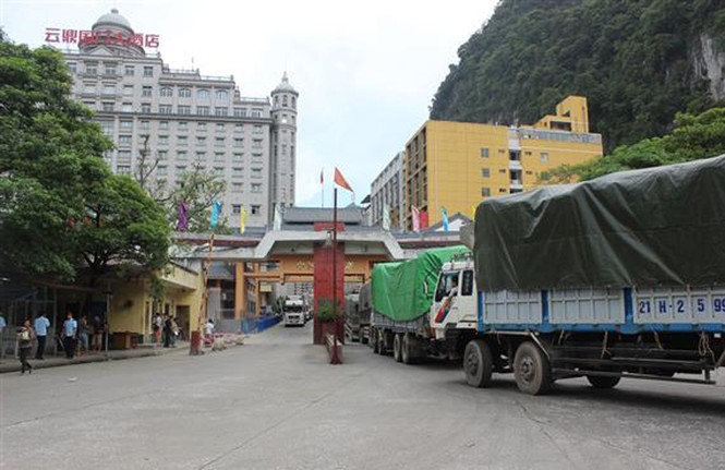 Hủy thu mua hàng trăm container thanh long vì dịch virus corona - ảnh 1