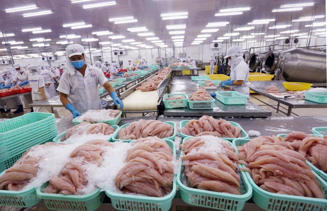 Xuất khẩu nông lâm thủy sản trong 3 tháng đạt hơn 9 tỷ USD, xuất siêu 2,9 tỷ USD - ảnh 1