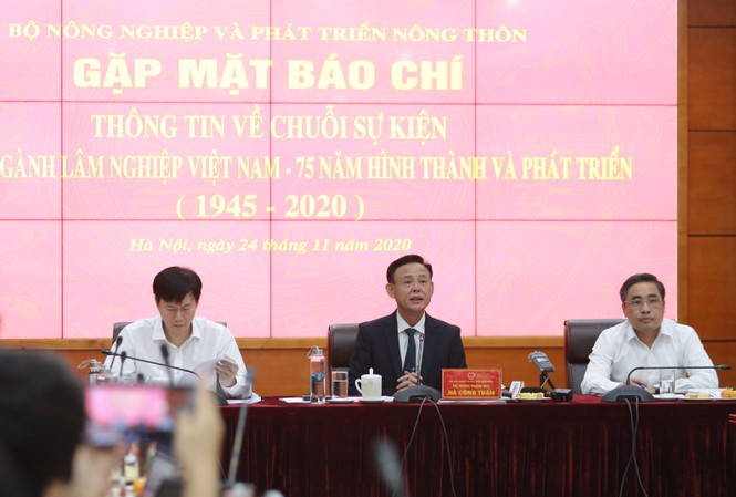 Trồng 1 tỷ cây xanh: Tránh chạy theo phong trào, 'trồng 10, chết 9' - ảnh 1