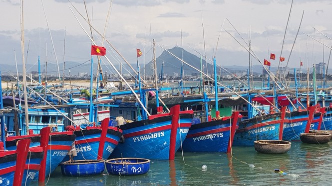 Đẩy nhanh tiến độ lắp đặt thiết bị giám sát hành trình tàu cá - ảnh 1