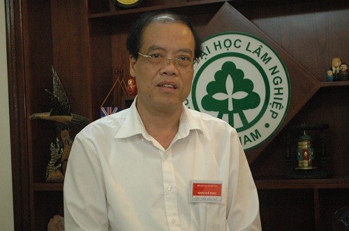Hiệu trưởng Trường Đại học Lâm nghiệp: Chặt đào rừng rất xót xa, lãng phí - ảnh 1
