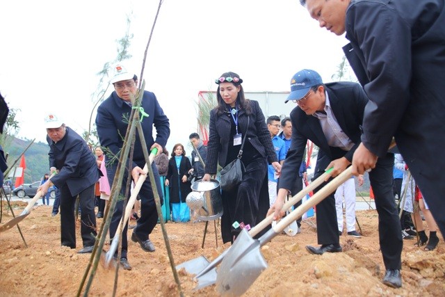 Trồng 11.000 cây chắn sóng tại biển Quảng Ninh - ảnh 1
