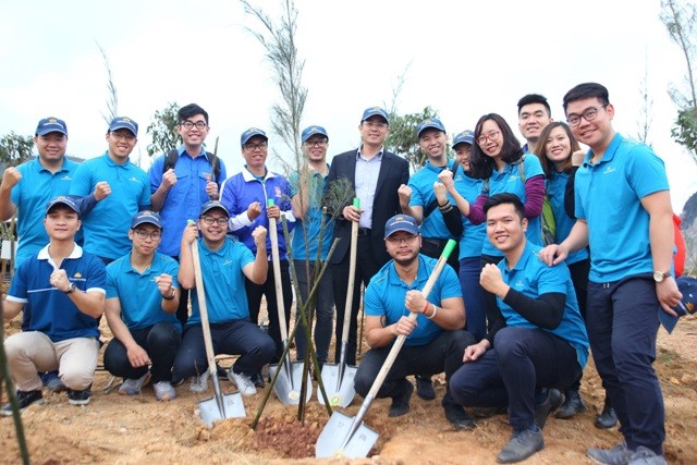 Trồng 11.000 cây chắn sóng tại biển Quảng Ninh - ảnh 2
