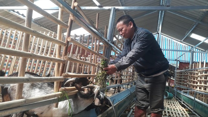 giải pháp cho làn sóng di cư của người dân tộc thiểu số xuống miền xuôi - ảnh 1