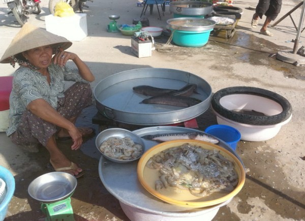 Mùng 3 Tết, nông dân ra ruộng, tiểu thương bám đường - ảnh 8