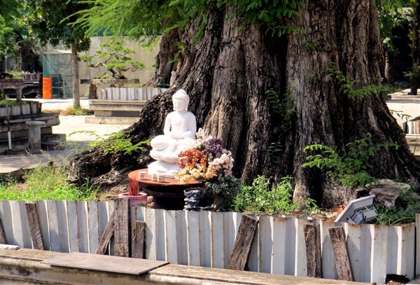 Bên trong biệt thự của nạn nhân vụ thảm án Bình Phước - ảnh 7