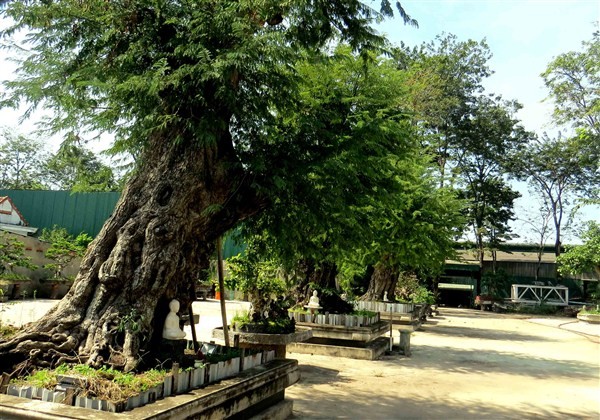 Bên trong biệt thự của nạn nhân vụ thảm án Bình Phước - ảnh 8