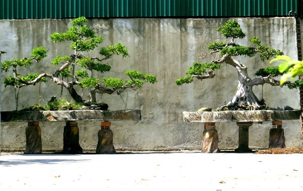 Bên trong biệt thự của nạn nhân vụ thảm án Bình Phước - ảnh 10