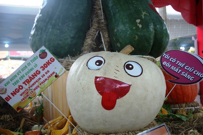 Củ, quả 'khủng' ở khu vườn 'kỳ hoa dị thảo' Nam bộ - ảnh 5