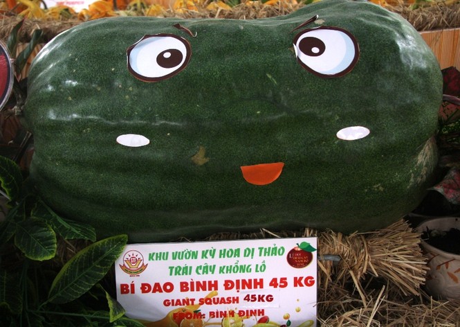 Củ, quả 'khủng' ở khu vườn 'kỳ hoa dị thảo' Nam bộ - ảnh 2